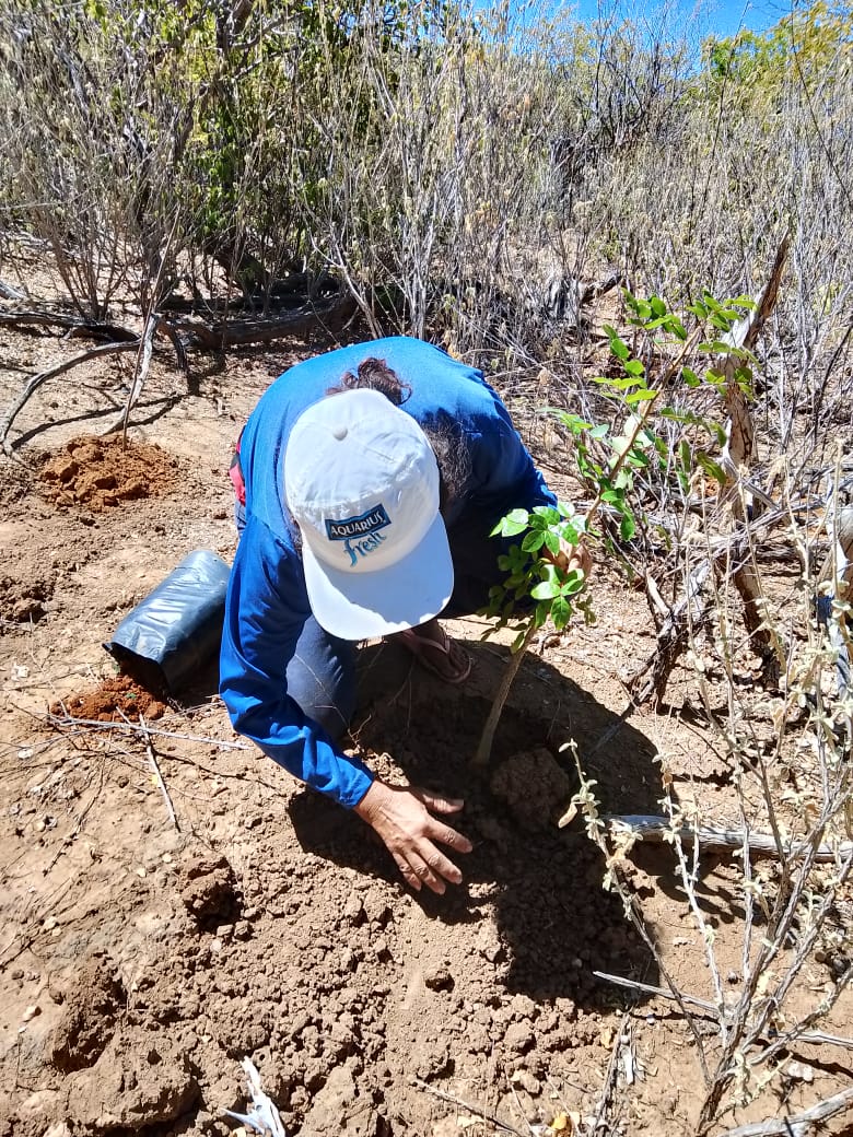 Prefeitura de Curaçá promove ações de sustentabilidade e inclusão durante a 73ª Festa dos Vaqueiros